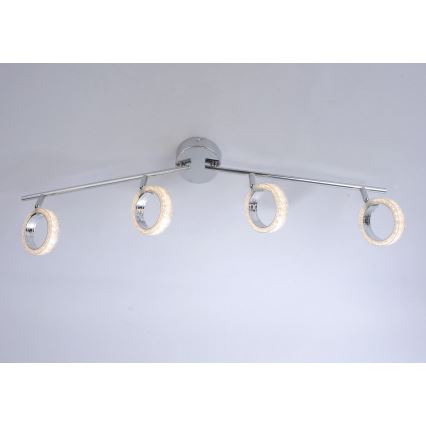 Leuchten Direkt L10504-17 - LED Reflektor ANGELO 4xLED/3,5W/230V