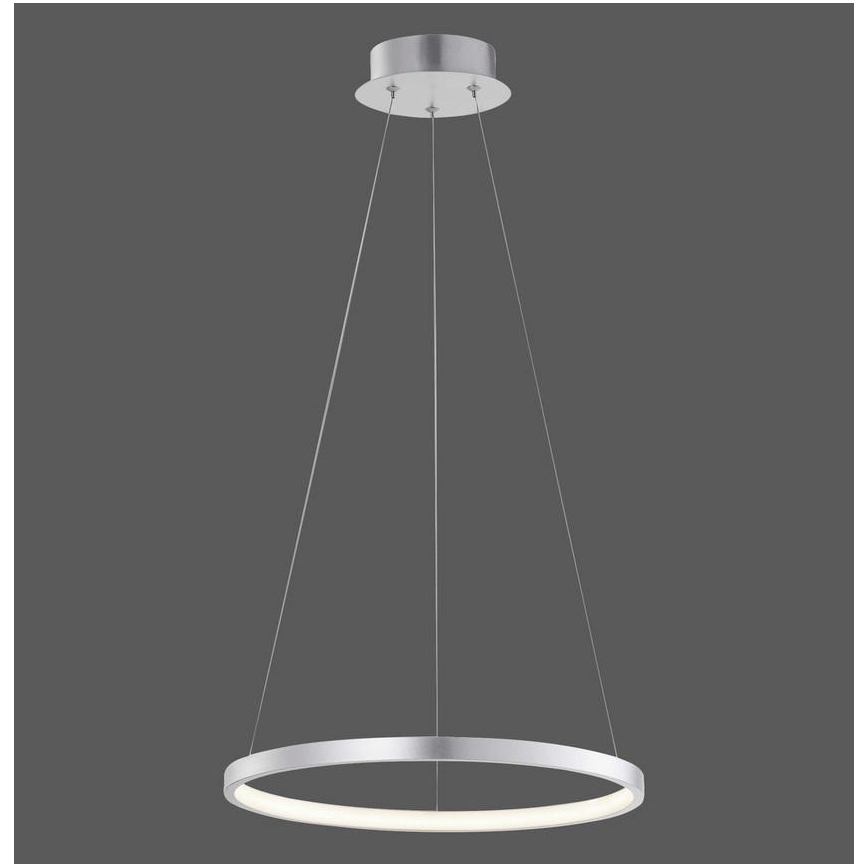 Leuchten Direkt L16270-21 - LED RGB Zatemnitveni lestenec na vrvici CIRCLE LED/25W/230V + Daljinski upravljalnik