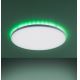 Leuchten Direkt 15602-16 - LED RGBW Zatemnitvena stropna svetilka GUSTAV LED/20,3W/230V + LED/1,8W 2700-5000K + Daljinski upravljalnik