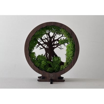 Li-Go 23604/DUB2 - LED zatemnljiva namizna dekoracija LED/12W/230V 20x22 cm hrast/mah in drevo