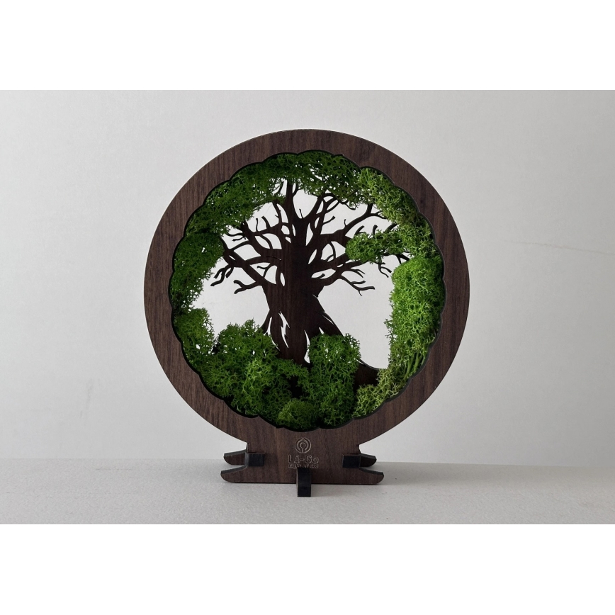 Li-Go 23604/DUB2 - LED zatemnljiva namizna dekoracija LED/12W/230V 20x22 cm hrast/mah in drevo