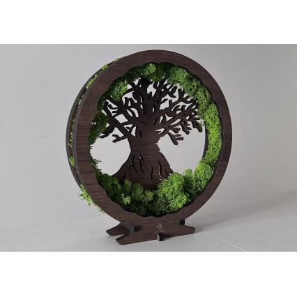 Li-Go 23604/DUB2 - LED zatemnljiva namizna dekoracija LED/12W/230V 20x22 cm hrast/mah in drevo