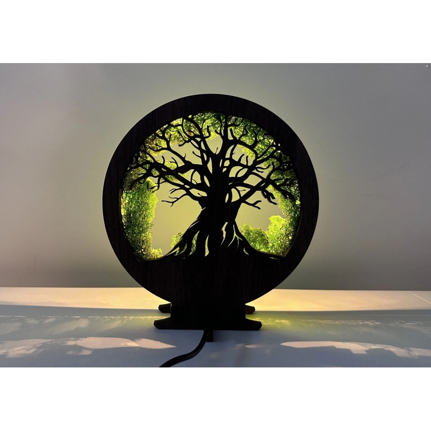 Li-Go 23604/DUB2 - LED zatemnljiva namizna dekoracija LED/12W/230V 20x22 cm hrast/mah in drevo