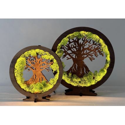 Li-Go 23604/DUB2 - LED zatemnjevalna namizna dekoracija LED/12W/230V 20x22 cm hrast/mah in drevo