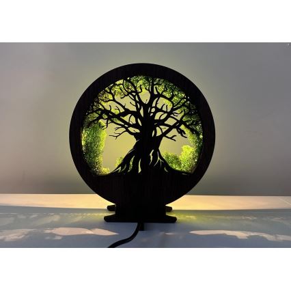 Li-Go 23604/DUB2 - LED zatemnjevalna namizna dekoracija LED/12W/230V 20x22 cm hrast/mah in drevo