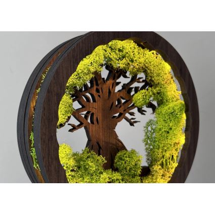 Li-Go 23604/DUB2 - LED zatemnjevalna namizna dekoracija LED/12W/230V 20x22 cm hrast/mah in drevo