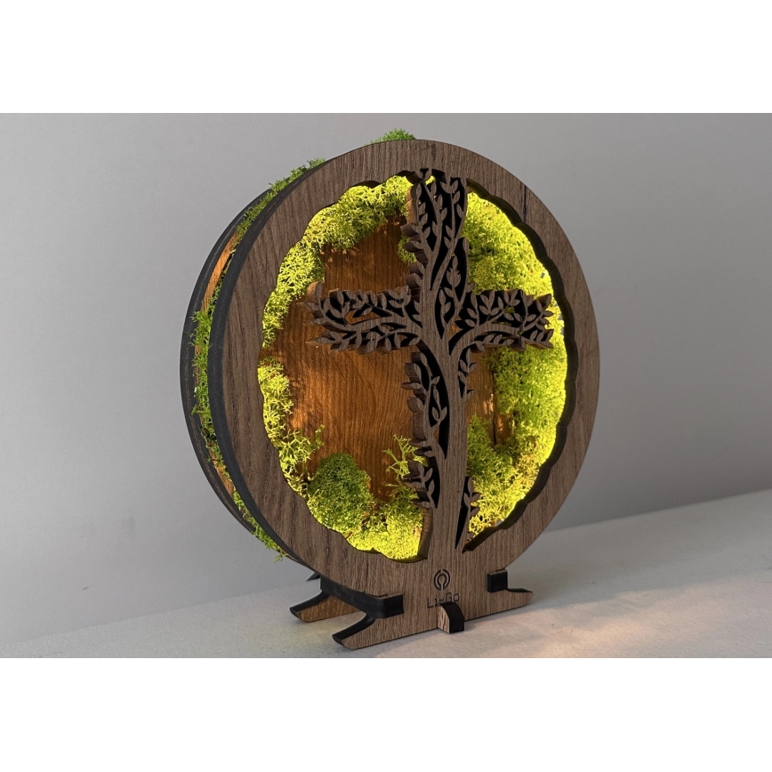 Li-Go 23622/DUB2 - LED namizna dekoracija z zatemnitvijo LED/12W/230V 20x22 cm hrast/križ v mahu