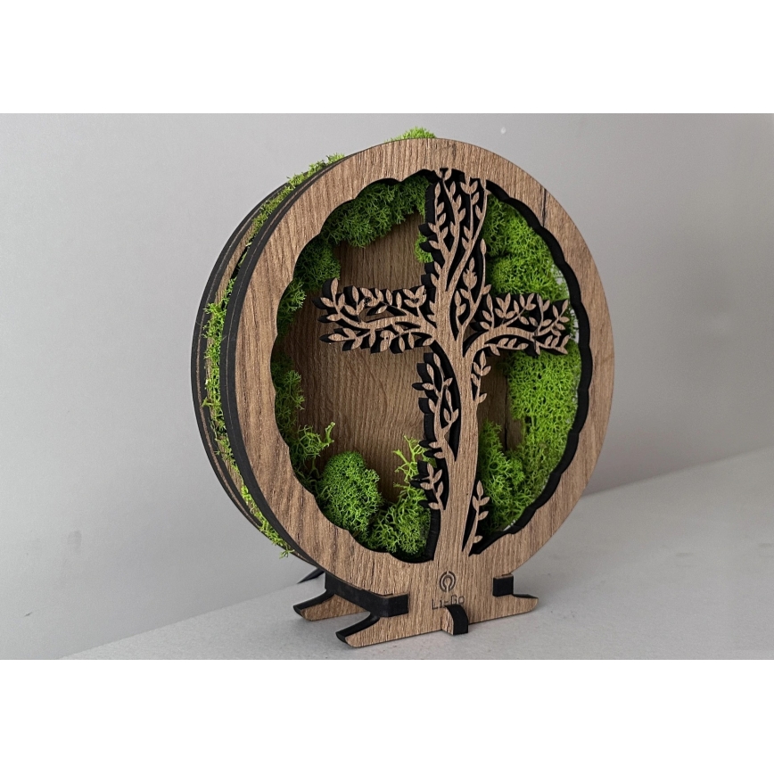 Li-Go 23622/DUB2 - LED namizna dekoracija z zatemnitvijo LED/12W/230V 20x22 cm hrast/križ v mahu