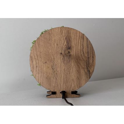 Li-Go 23622/DUB2 - LED namizna dekoracija z zatemnitvijo LED/12W/230V 20x22 cm hrast/križ v mahu