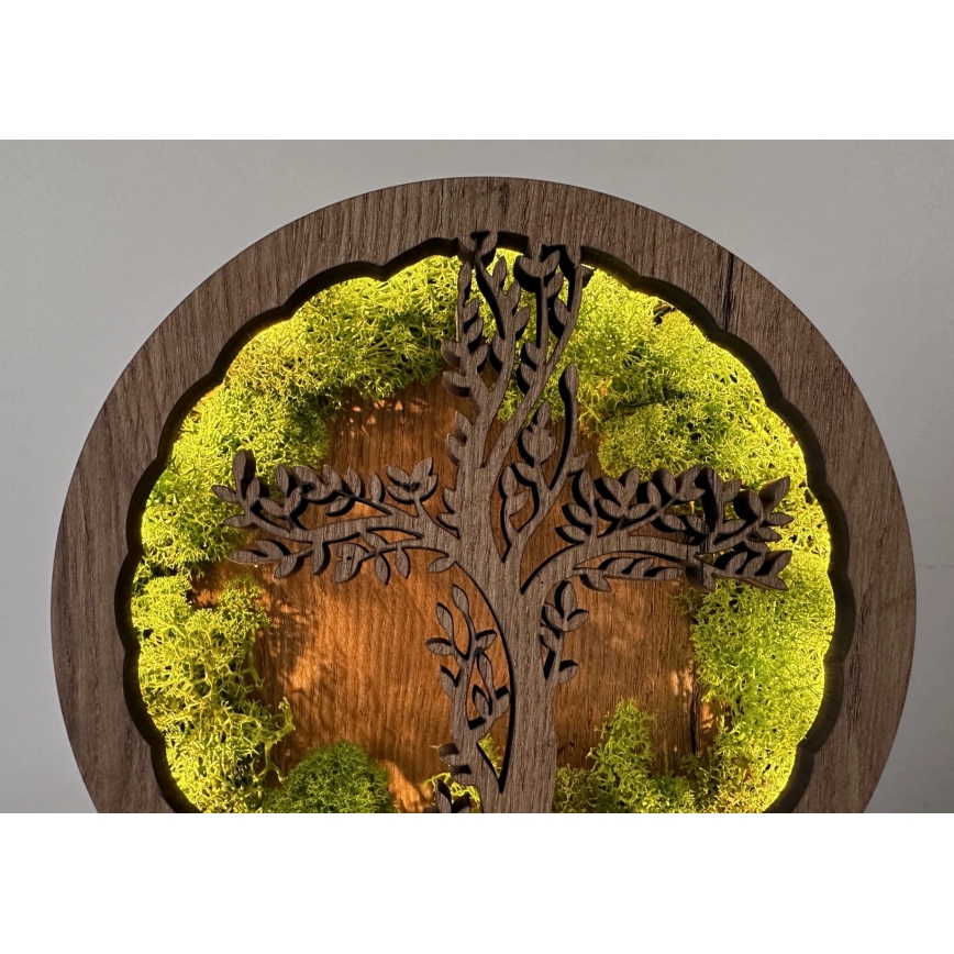 Li-Go 23622/DUB2 - LED namizna dekoracija z zatemnitvijo LED/12W/230V 20x22 cm hrast/križ v mahu