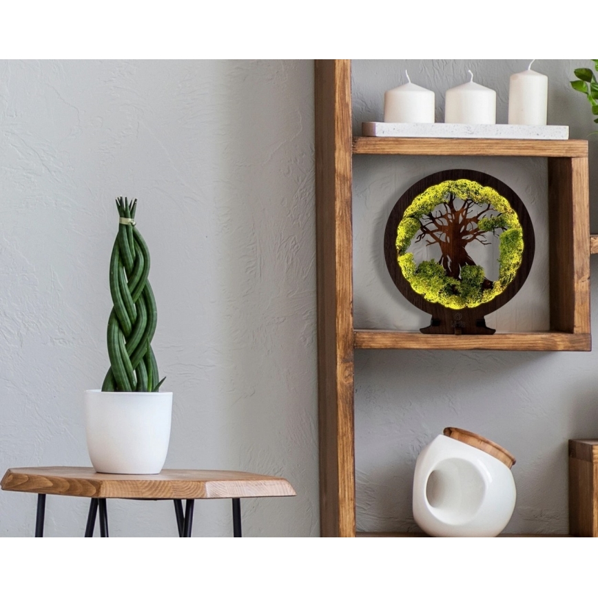 Li-Go 23631/DUB2 - zatemnjiva LED namizna dekoracija LED/12W/230V 30x31 cm hrast/mah in drevo