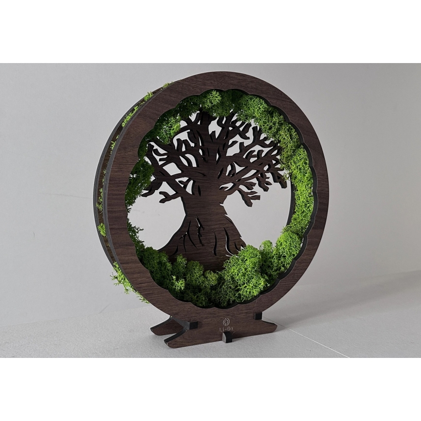 Li-Go 23631/DUB2 - zatemnjiva LED namizna dekoracija LED/12W/230V 30x31 cm hrast/mah in drevo