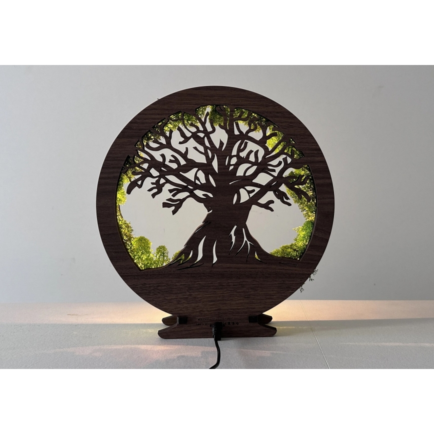 Li-Go 23631/DUB2 - zatemnjiva LED namizna dekoracija LED/12W/230V 30x31 cm hrast/mah in drevo