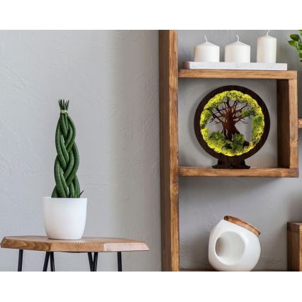 Li-Go 23631/DUB2 - LED zatemnjevalna namizna dekoracija LED/12W/230V 30x31 cm hrast/mah in drevo