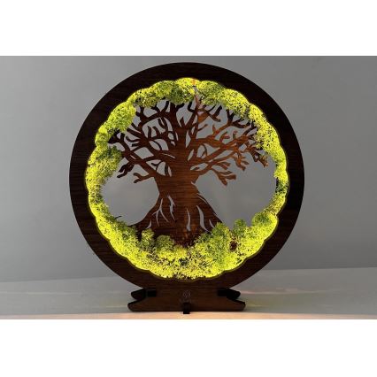 Li-Go 23631/DUB2 - LED zatemnjevalna namizna dekoracija LED/12W/230V 30x31 cm hrast/mah in drevo