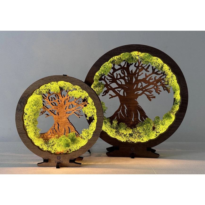 Li-Go 23631/DUB2 - LED zatemnjevalna namizna dekoracija LED/12W/230V 30x31 cm hrast/mah in drevo