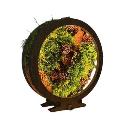 Li-Go 23654 - Namizna LED dekoracija z možnostjo zatemnitve LED/12W/230V 20x22 cm oreh/mah