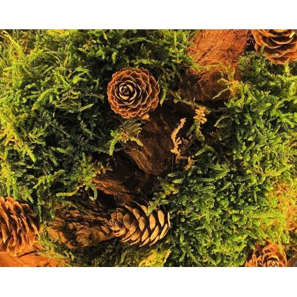 Li-Go 23654 - Namizna LED dekoracija z možnostjo zatemnitve LED/12W/230V 20x22 cm oreh/mah