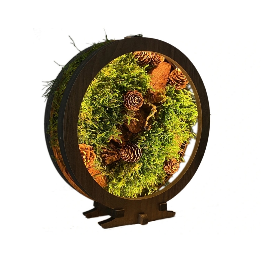 Li-Go 23654 - zatemnjiva LED namizna dekoracija LED/12W/230V 20x22 cm oreh/mahovni motiv