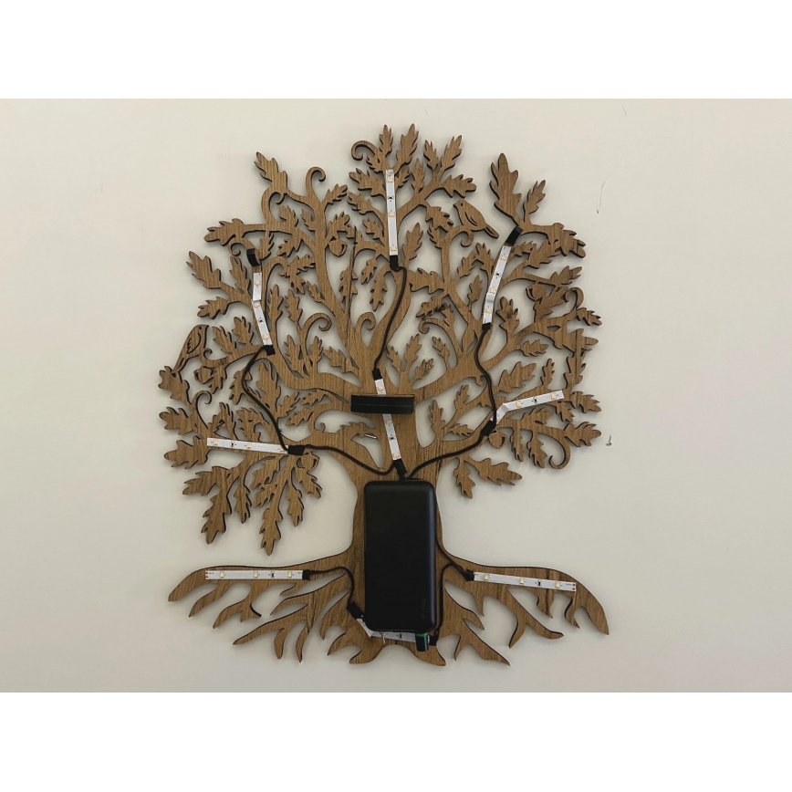 Li-Go 23673/DUB2 - LED zatemnjevalna stenska dekoracija LED/10W/5V 20000 mAh 45x55 cm hrast + daljinski upravljalnik