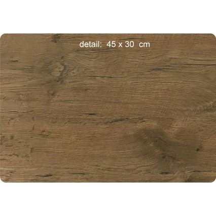 Li-Go 5589/A/DUB2 - LED zatemnjiva stenska dekoracija LED/10W/5V 30000 mAh 110x50 cm hrast/Gore s pticami