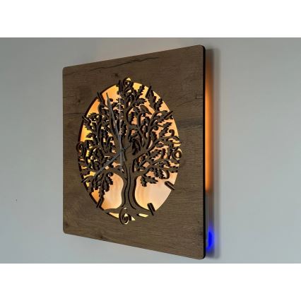 Li-Go 5652/DUB2 - Zatemnjevalna LED stenska ura LED/10W/5V 20000 mAh 42x42 cm hrast/Hrast v krogu + daljinski upravljalnik