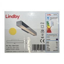 Lindby - LED Kopalniška osvetlitev ogledala KIANA LED/11,2W/230V IP44