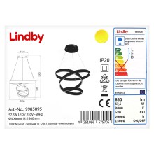 Lindby - LED Lestenec na vrvici OLADA LED/57,5W/230V