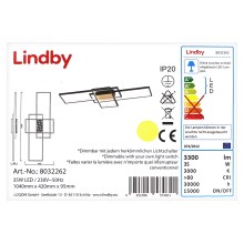 Lindby - LED Zatemnitveni lestenec EMILJAN LED/35W/230V