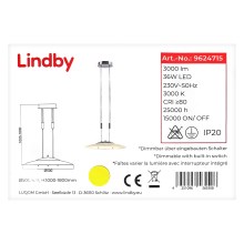 Lindby - LED Zatemnitveni lestenec na vrvici AMIDALA LED/36W/230V