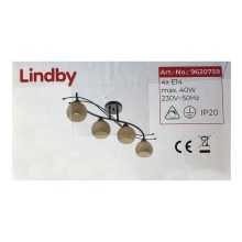 Lindby - Reflektor LEANDA 4xE14/40W/230V