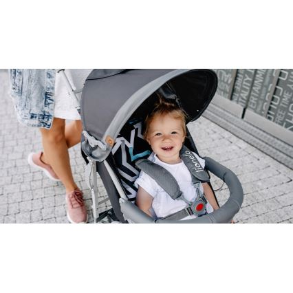 Lionelo - golf voziček ELIA, siva