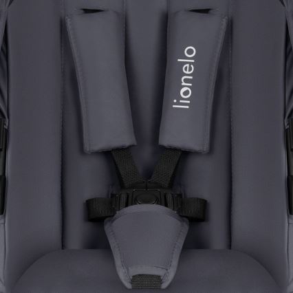 Lionelo - Kombiniran otroški voziček 3 v 1 AMBER PLUS Grey Graphite