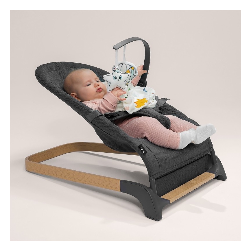 Lionelo - Otroška gugalnica JUNE, antracit