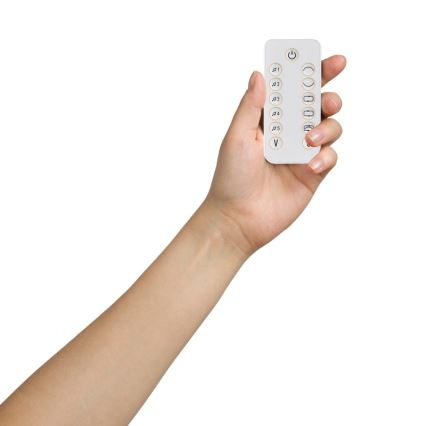 Lionelo - Otroška zibka z melodijo OLIVIA bež naravna + daljinski upravljalnik