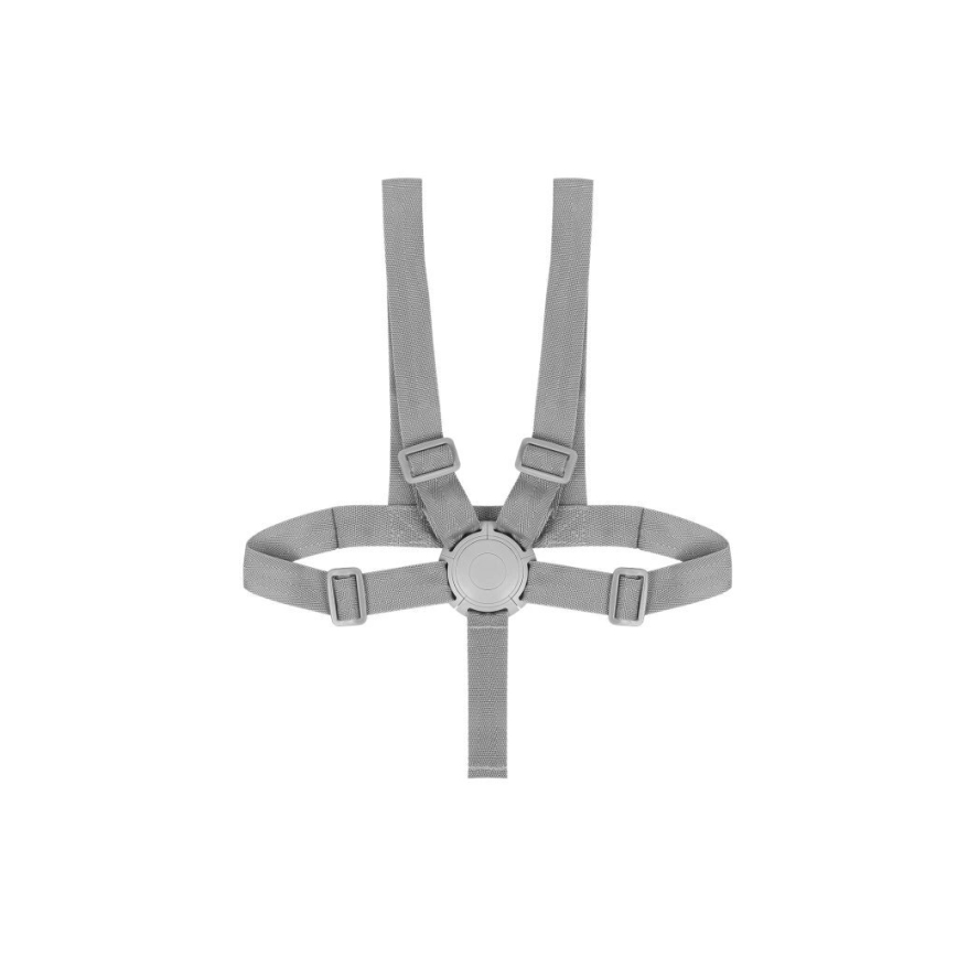 Lionelo - Otroški jedilni stolček 2 v 1 DALIA bel/siv