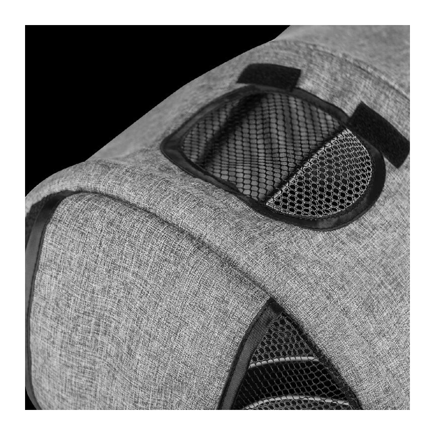 Lionelo - Otroški trikolesnik TRIS siv