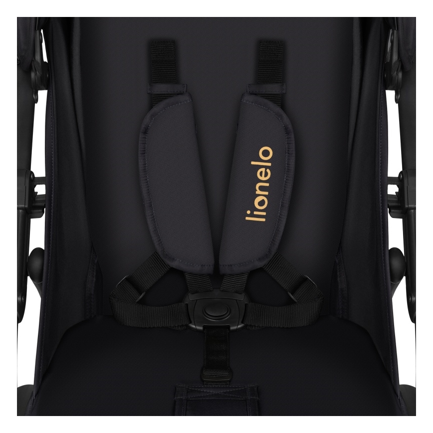 Lionelo - športni otroški voziček ANNET TOUR Golden Moments