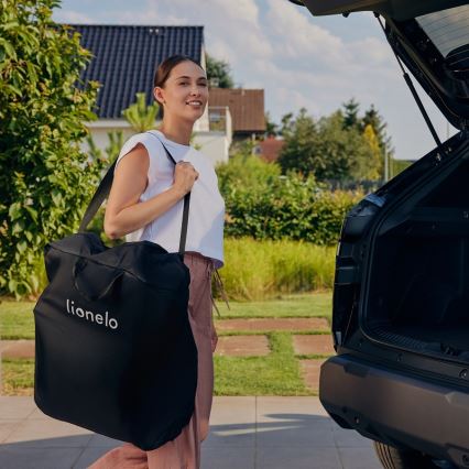 Lionelo - Športni voziček JULIE ONE Črna/Zlata