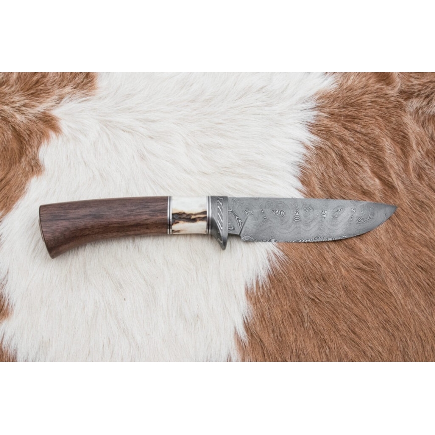 Lovski nož iz damaščanskega jekla 11,8 cm oreh/jelenovo rogovje