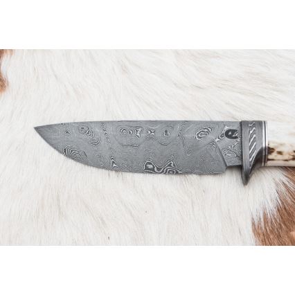 Lovski nož iz damaščanskega jekla 11,8 cm oreh/jelenovo rogovje
