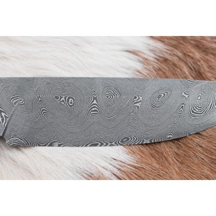 Lovski nož iz damaščanskega jekla 11,8 cm oreh/jelenovo rogovje