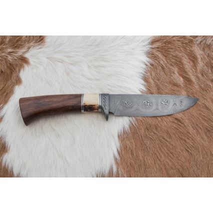 Lovski nož iz damaščanskega jekla 12,6 cm oreh/jelenovo rogovje