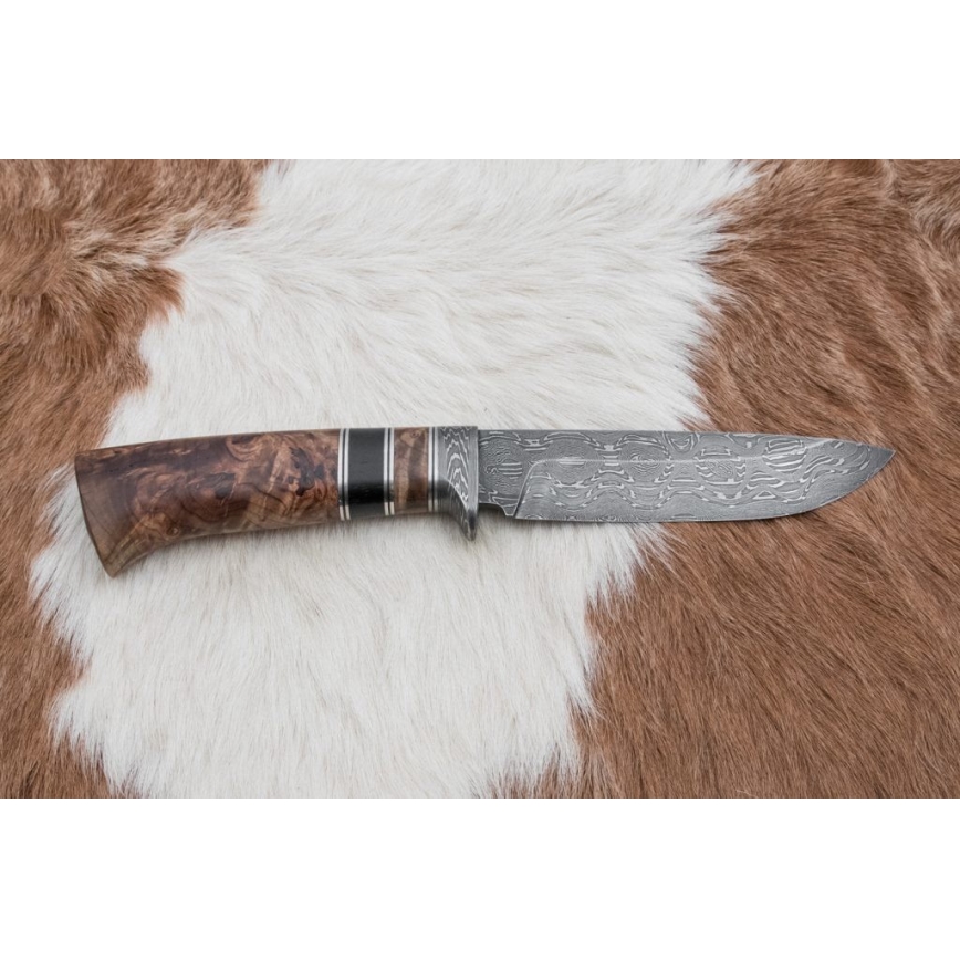 Lovski nož iz damaščanskega jekla 13 cm topol/ebenovina
