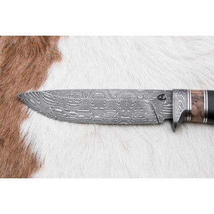 Lovski nož iz damaščanskega jekla 13 cm topol/ebenovina