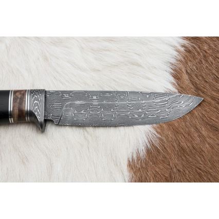 Lovski nož iz damaščanskega jekla 13 cm topol/ebenovina