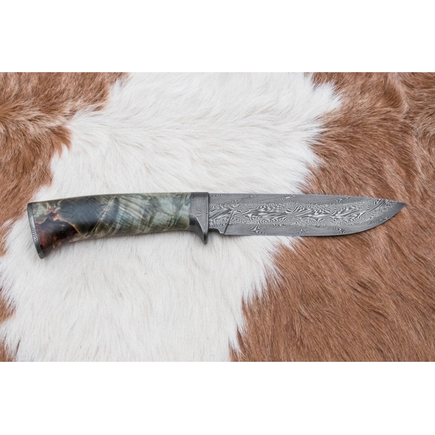 Lovski nož iz damaščanskega jekla 14 cm kostanj