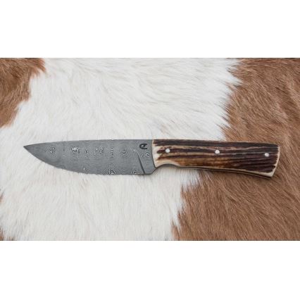 Lovski nož iz damaščanskega jekla z mini žago 11 cm jelenovo rogovje
