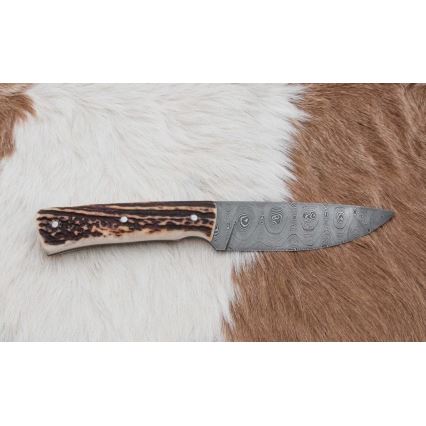 Lovski nož iz damaščanskega jekla z mini žago 11 cm jelenovo rogovje
