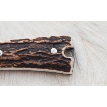 Lovski transportni nož iz damaščanskega jekla z mini žago 12 cm jekleno rogovje